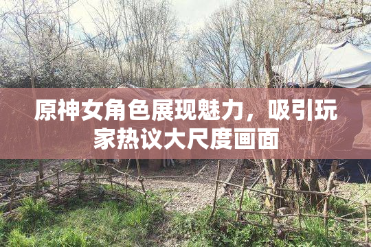 原神女角色展现魅力，吸引玩家热议大尺度画面