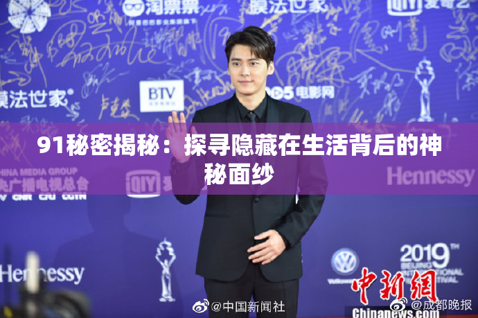 91秘密揭秘：探寻隐藏在生活背后的神秘面纱
