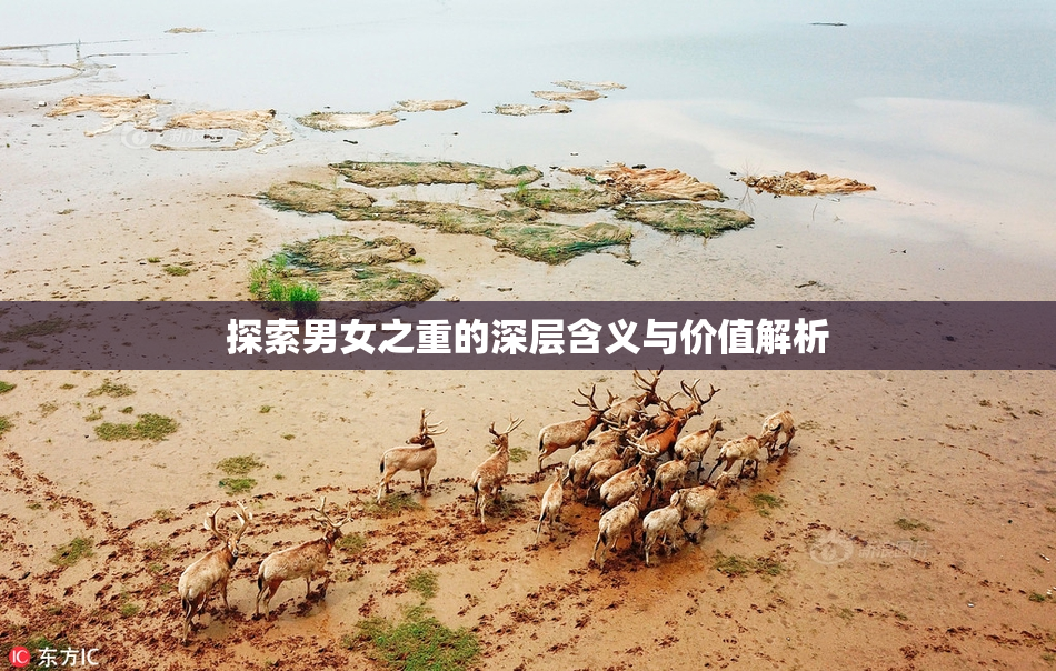探索男女之重的深层含义与价值解析