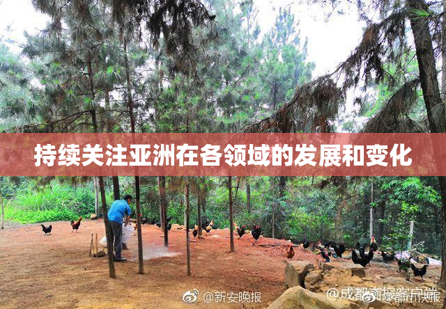 持续关注亚洲在各领域的发展和变化