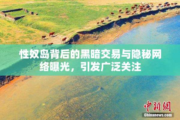 性奴岛背后的黑暗交易与隐秘网络曝光，引发广泛关注