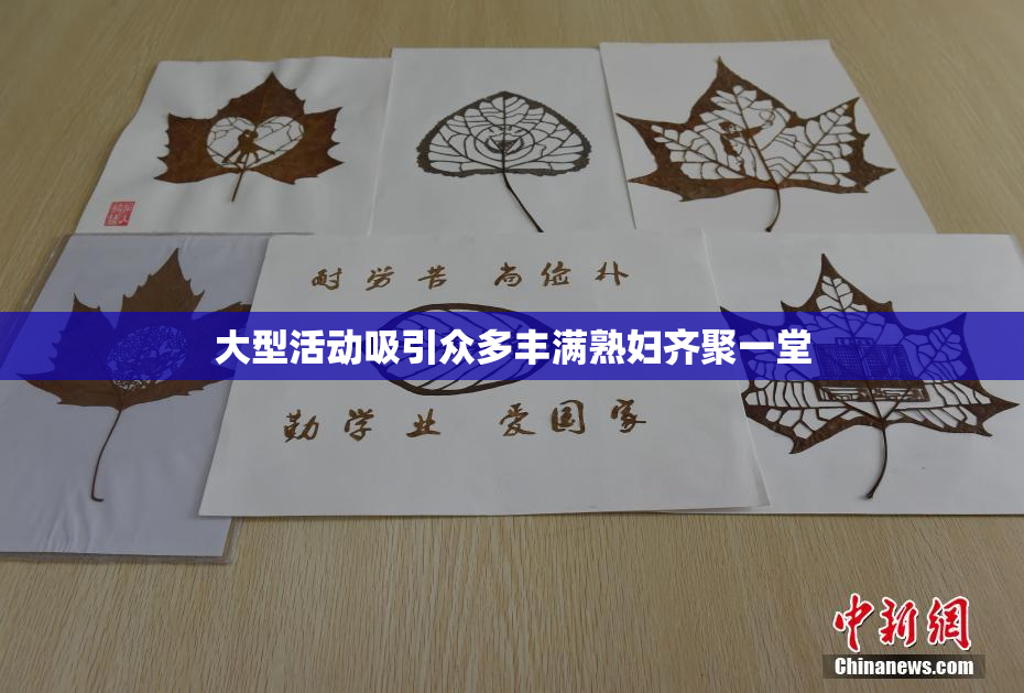 大型活动吸引众多丰满熟妇齐聚一堂