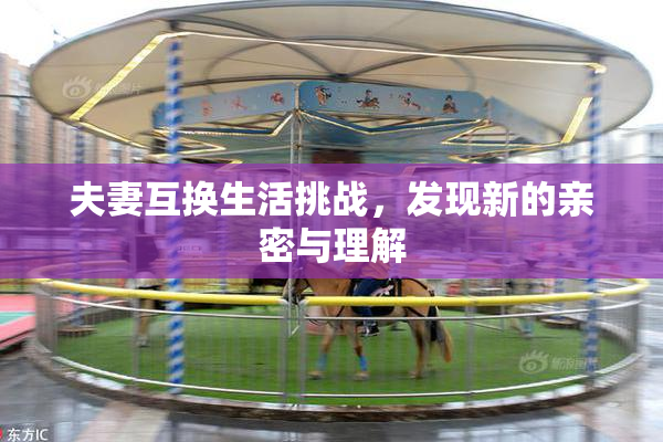 夫妻互换生活挑战，发现新的亲密与理解