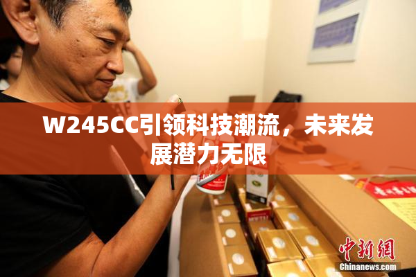 W245CC引领科技潮流，未来发展潜力无限