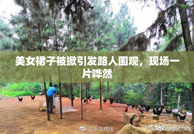 美女裙子被掀引发路人围观，现场一片哗然
