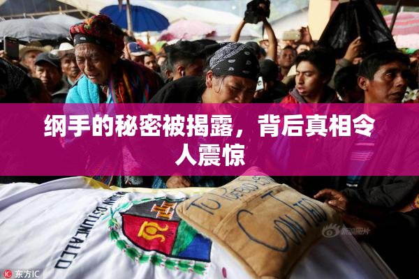 纲手的秘密被揭露，背后真相令人震惊