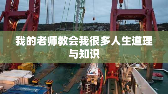 我的老师教会我很多人生道理与知识