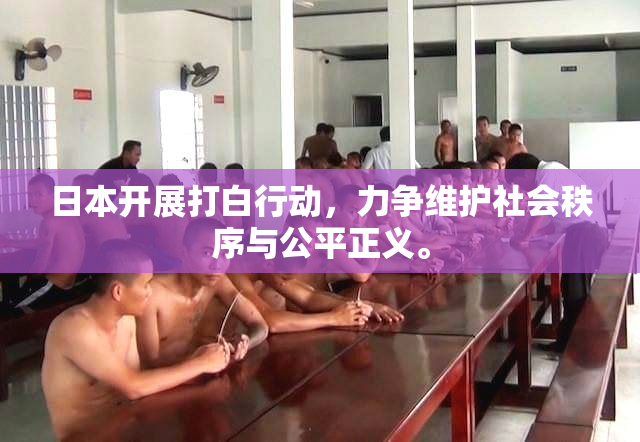 日本开展打白行动，力争维护社会秩序与公平正义。