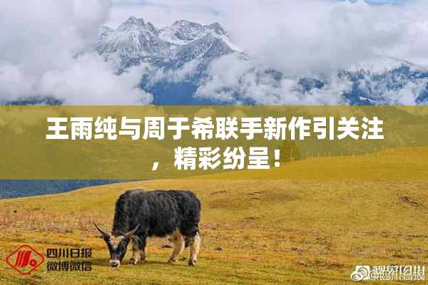王雨纯与周于希联手新作引关注，精彩纷呈！