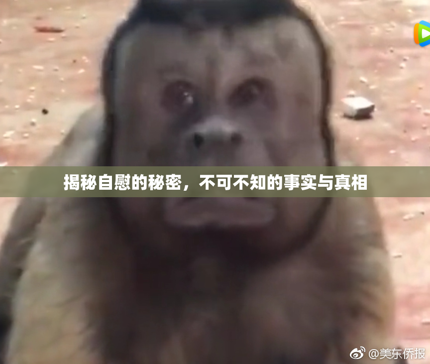 揭秘自慰的秘密，不可不知的事实与真相
