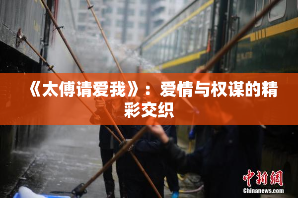 《太傅请爱我》：爱情与权谋的精彩交织