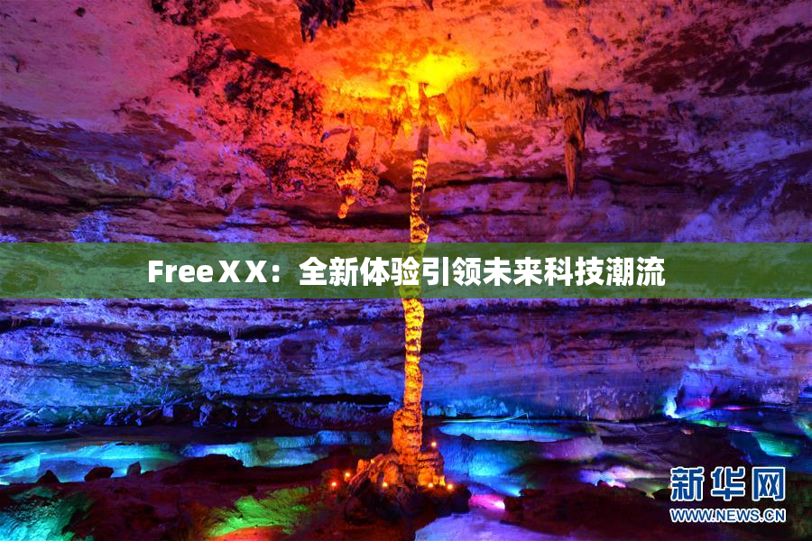 FreeⅩX：全新体验引领未来科技潮流