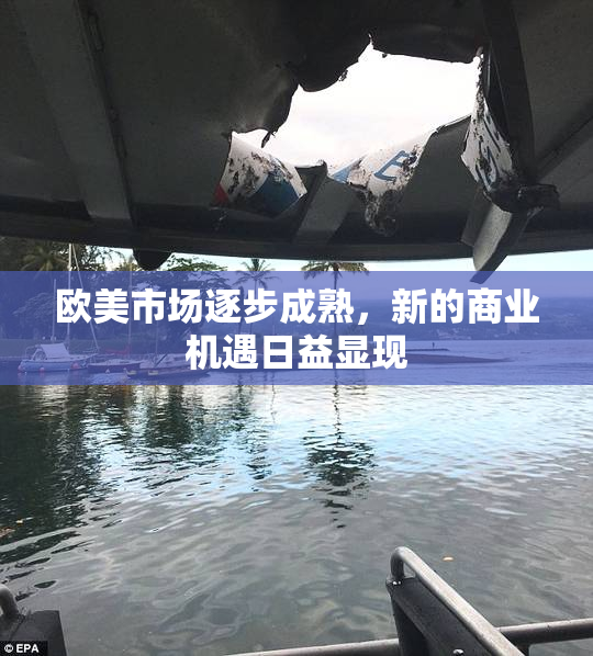 欧美市场逐步成熟，新的商业机遇日益显现