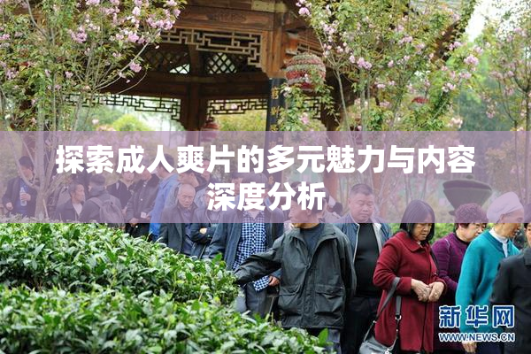 探索成人爽片的多元魅力与内容深度分析