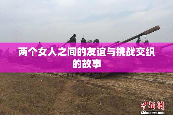 两个女人之间的友谊与挑战交织的故事
