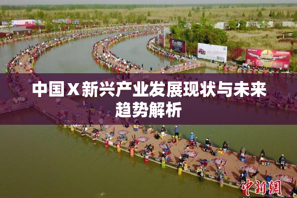 中国Ⅹ新兴产业发展现状与未来趋势解析