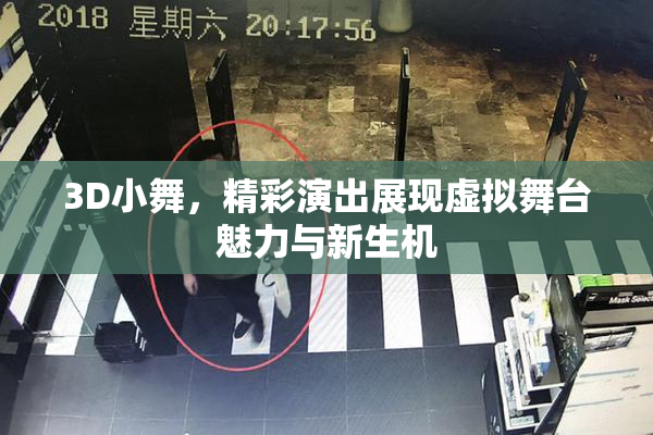 3D小舞，精彩演出展现虚拟舞台魅力与新生机