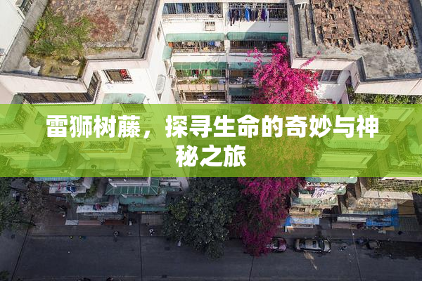 雷狮树藤，探寻生命的奇妙与神秘之旅