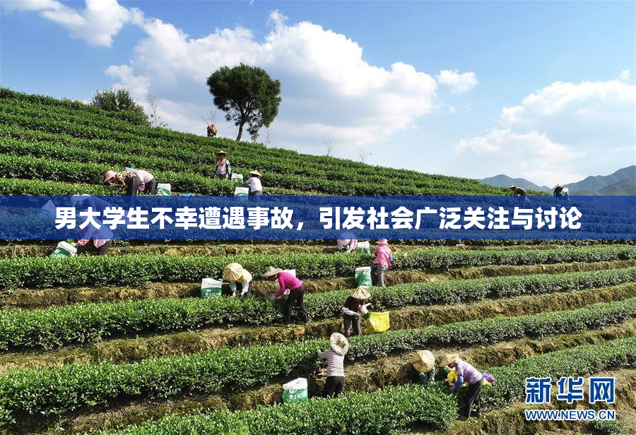 男大学生不幸遭遇事故，引发社会广泛关注与讨论