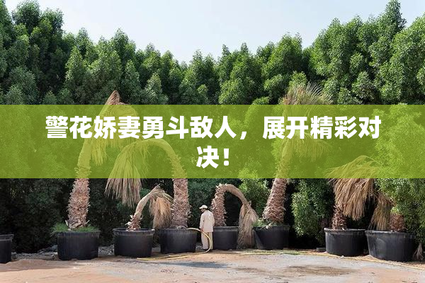 警花娇妻勇斗敌人，展开精彩对决！