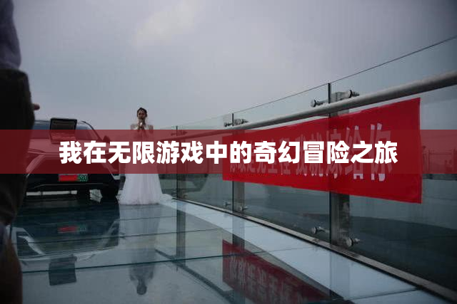 我在无限游戏中的奇幻冒险之旅