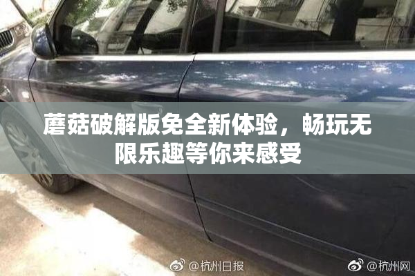 蘑菇破解版免全新体验，畅玩无限乐趣等你来感受