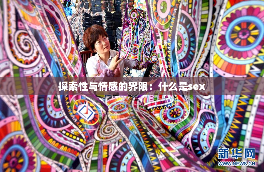 探索性与情感的界限：什么是sex