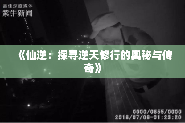 《仙逆：探寻逆天修行的奥秘与传奇》