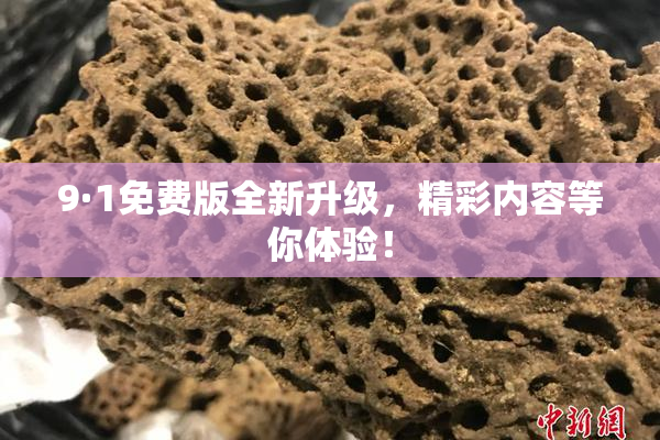 9·1免费版全新升级，精彩内容等你体验！