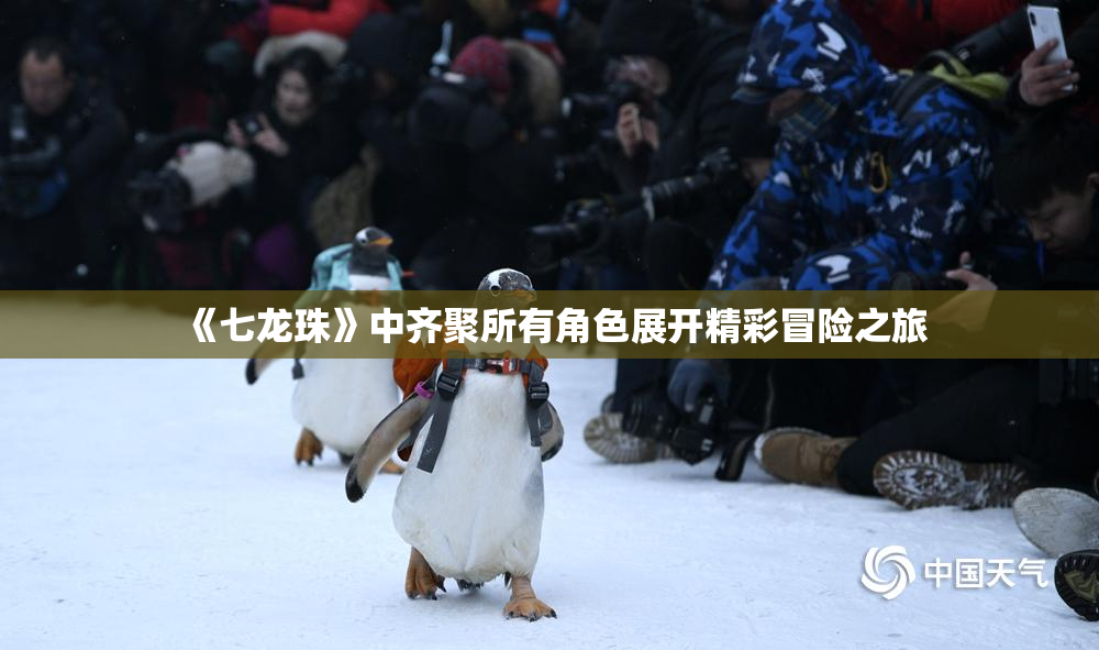 《七龙珠》中齐聚所有角色展开精彩冒险之旅