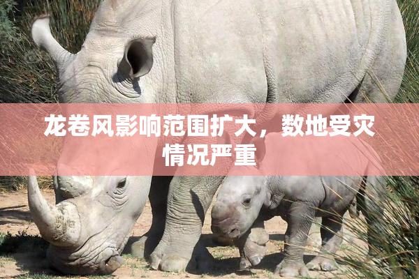 龙卷风影响范围扩大，数地受灾情况严重