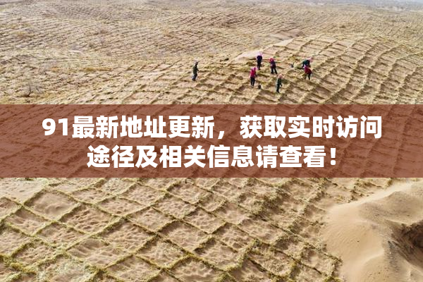 91最新地址更新，获取实时访问途径及相关信息请查看！