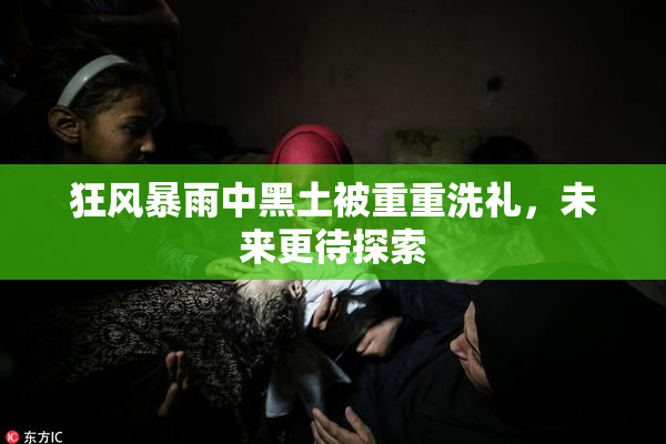 狂风暴雨中黑土被重重洗礼，未来更待探索