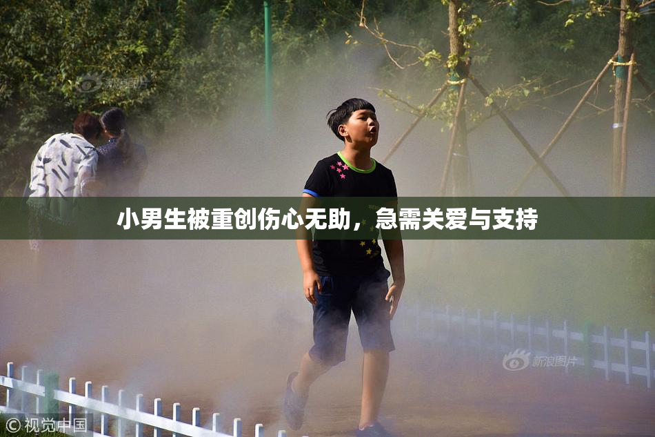 小男生被重创伤心无助，急需关爱与支持