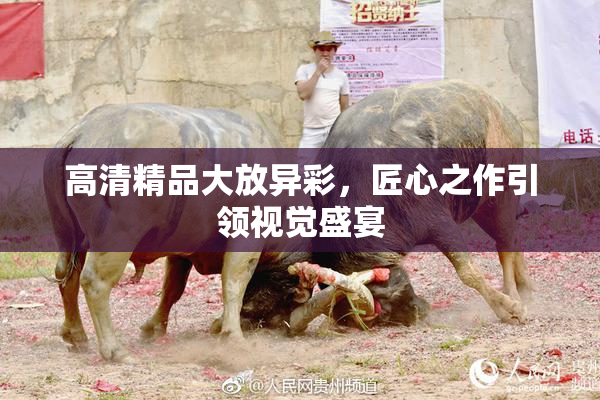 高清精品大放异彩，匠心之作引领视觉盛宴