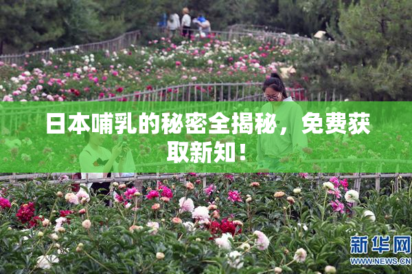 日本哺乳的秘密全揭秘，免费获取新知！