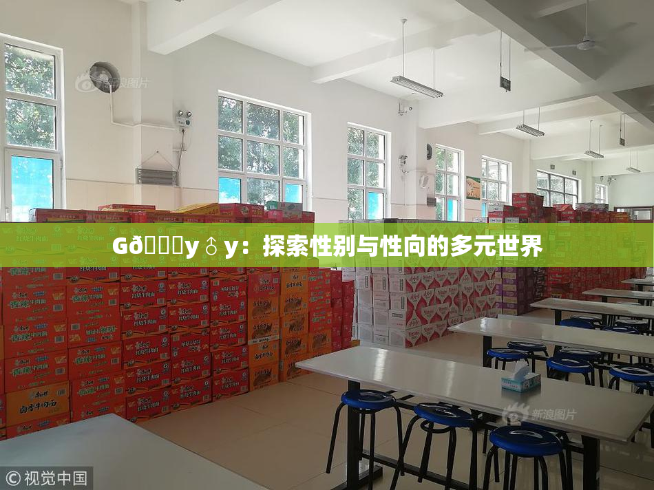 G🈚y♂y：探索性别与性向的多元世界