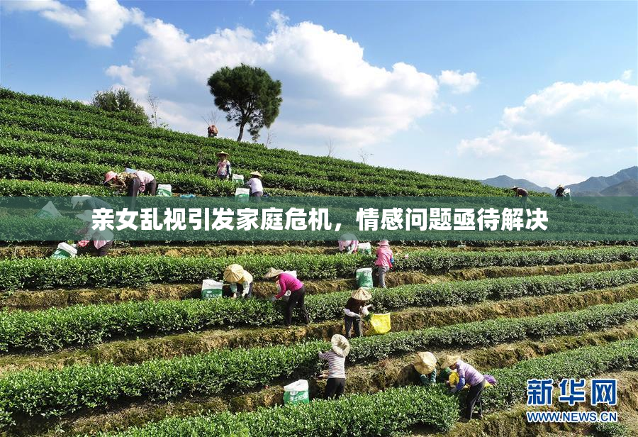 亲女乱视引发家庭危机，情感问题亟待解决