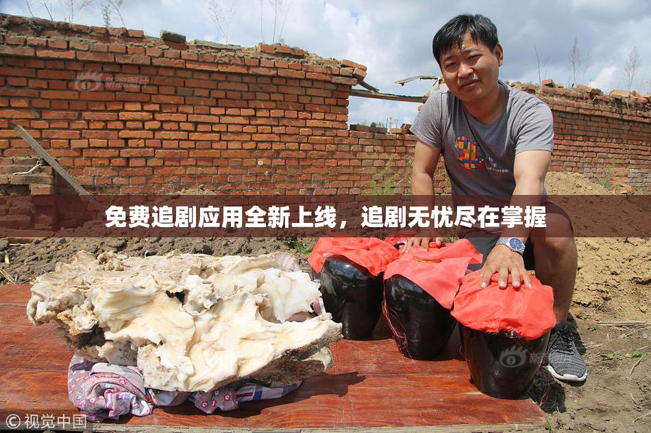 免费追剧应用全新上线，追剧无忧尽在掌握