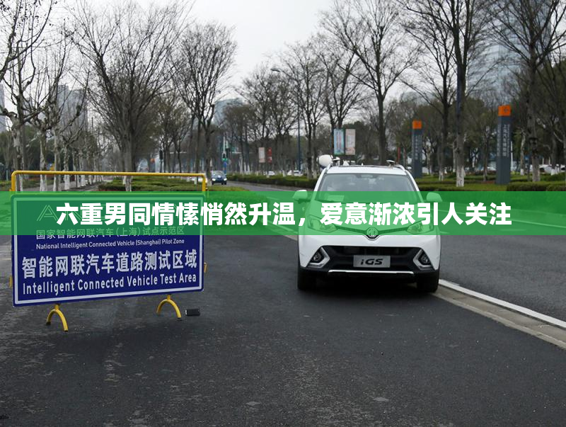 六重男同情愫悄然升温，爱意渐浓引人关注