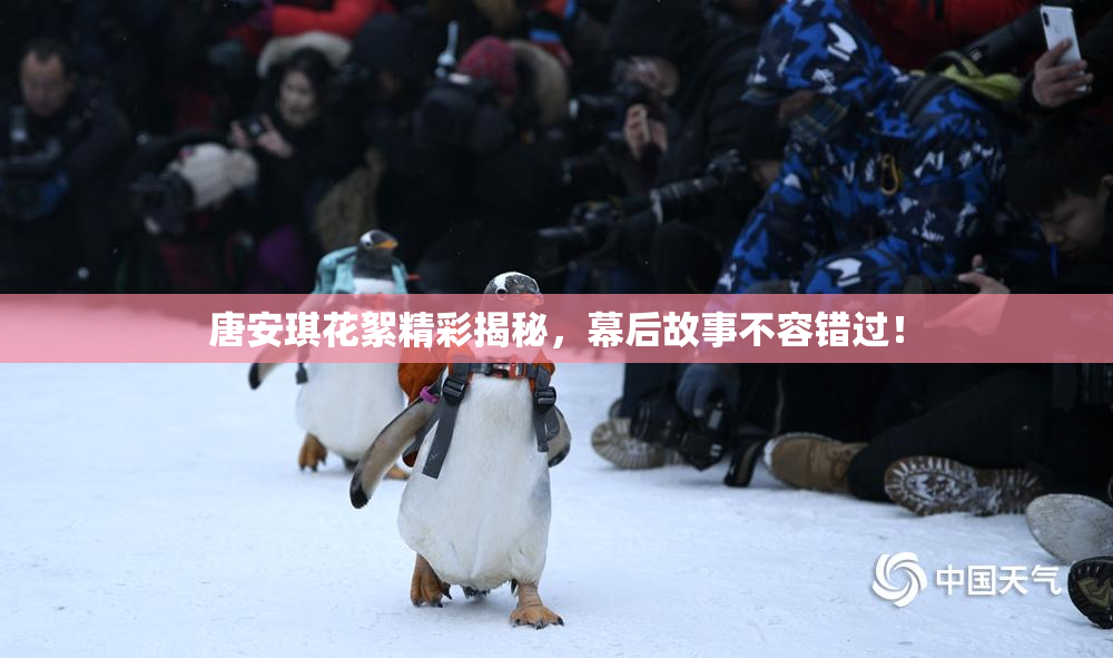 唐安琪花絮精彩揭秘，幕后故事不容错过！