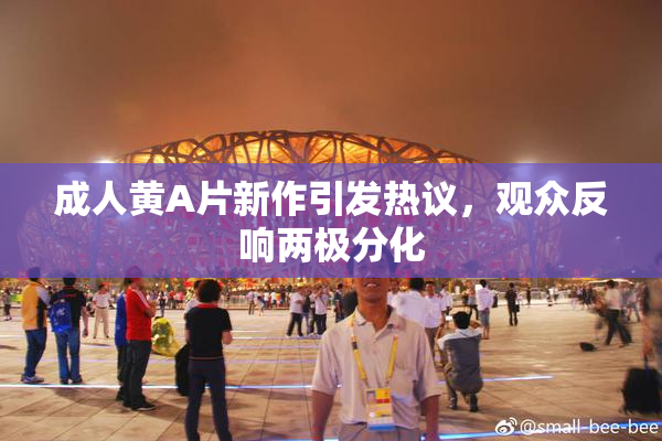 成人黄A片新作引发热议，观众反响两极分化