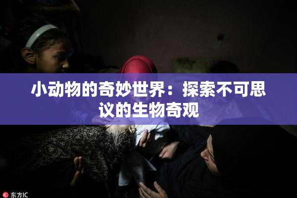 小动物的奇妙世界：探索不可思议的生物奇观
