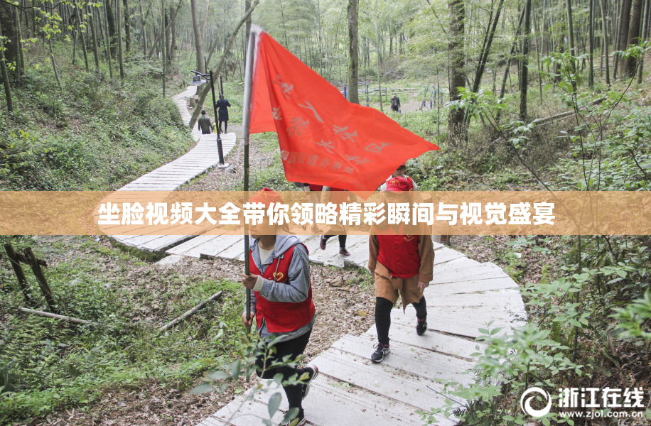 坐脸视频大全带你领略精彩瞬间与视觉盛宴