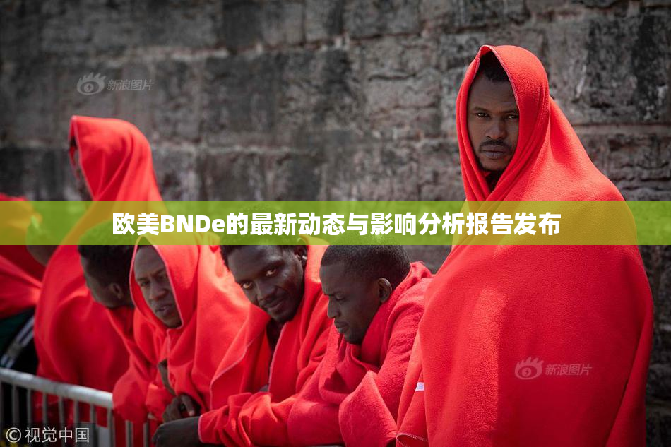欧美BNDe的最新动态与影响分析报告发布