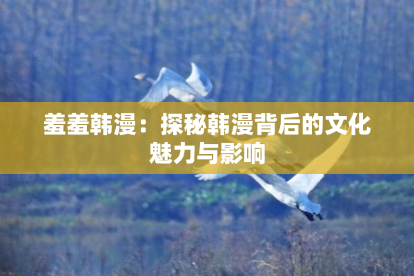 羞羞韩漫：探秘韩漫背后的文化魅力与影响