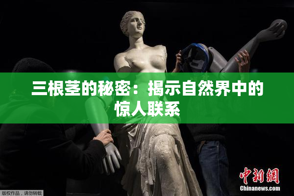 三根茎的秘密：揭示自然界中的惊人联系
