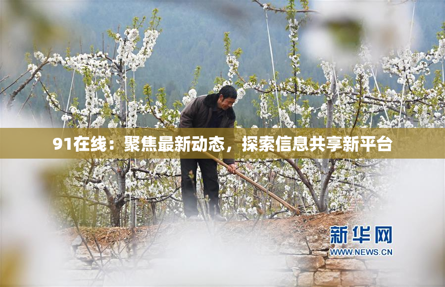 91在线：聚焦最新动态，探索信息共享新平台