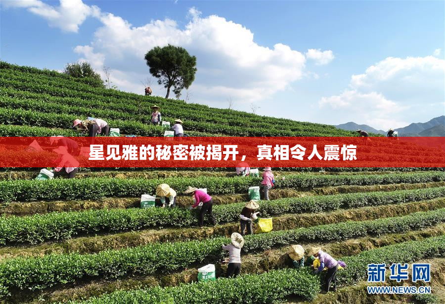 星见雅的秘密被揭开，真相令人震惊