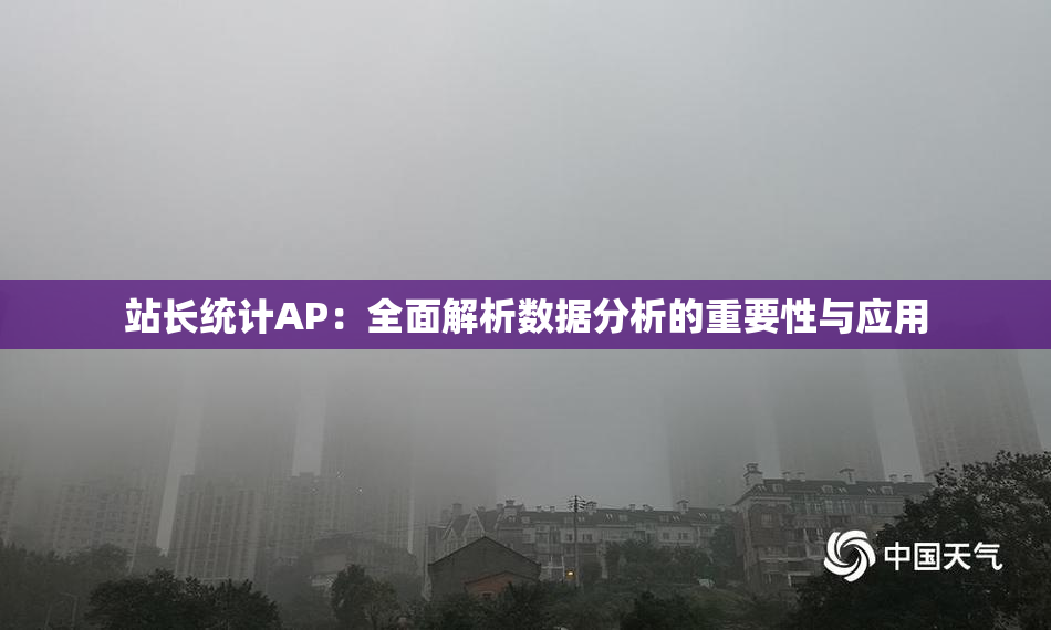 站长统计AP：全面解析数据分析的重要性与应用